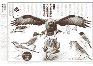 First Save the Birds! Campaign newspaper ad