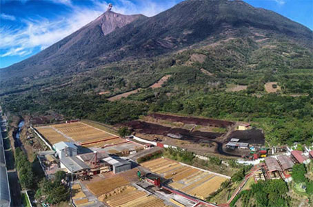 Coffee farm in Santa Barbara