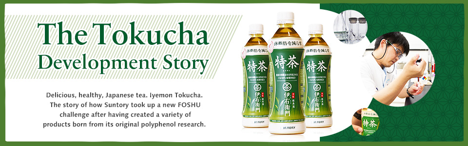 The Tokucha Development Story