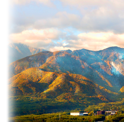 The four seasons at Hakushu(Fall)