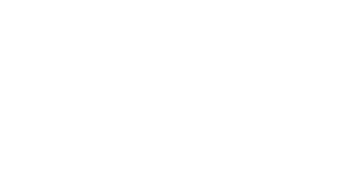 SUNTORY WHISKY HAKUSHU DISTILLERY SINCE 1973