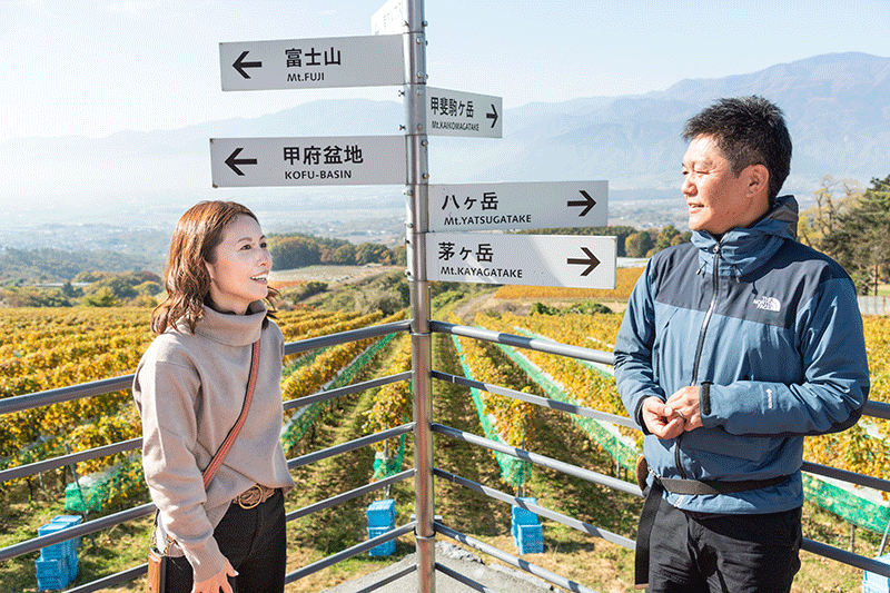 The view of Mt. Fuji from the observation deck 600m above sea level gives visitors a sense of the breezes and sunshine that make this an ideal place for growing grapes. The winery is also actively involved in supporting the reconstruction of local agriculture to protect this production region.