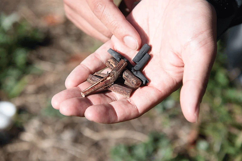 After the harvest, pruned vines are carbonized between December and March. By mixing them into the land in the vineyards, carbon can be stored in the soil, and the carbonized vines are also expected to help improve the soil and the landby improving drainage, increasing the number of microorganisms and reducing the presence of pathogens.