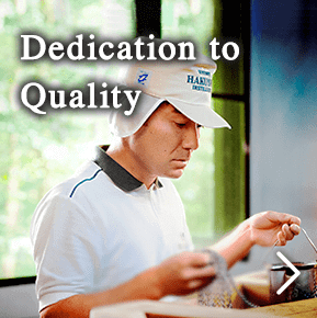 Dedication to Quality 